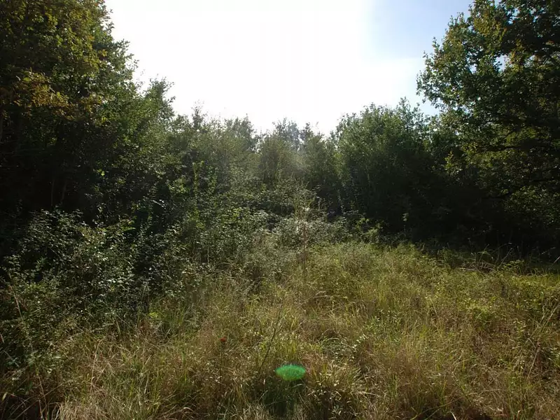 Terrain