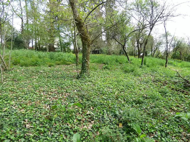 Terrain, 2 130 m²