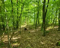 Terrain, 27 664 m²
