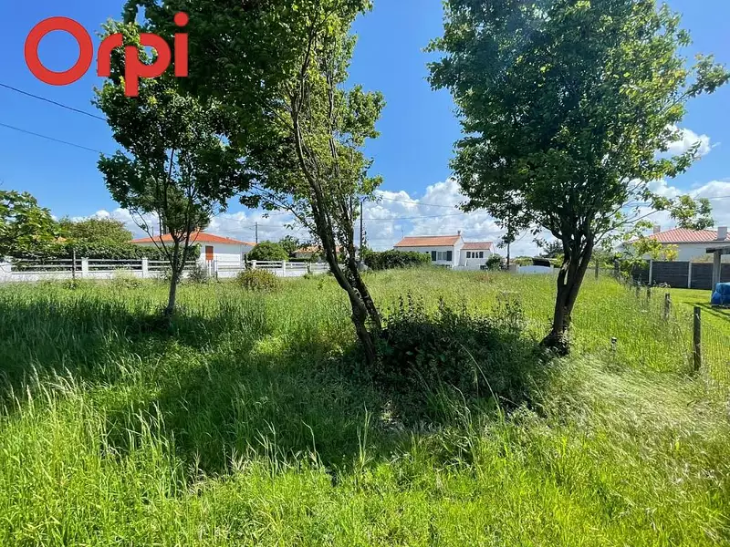 Terrain, 479 m²