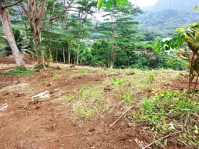 Terrain, 3 500 m²