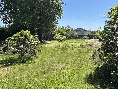 Terrain
