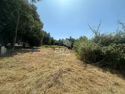 Terrain, 1 254 m²