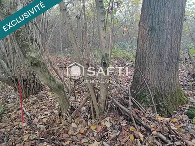 Terrain, 3 577 m²