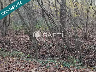 Terrain, 3 577 m²