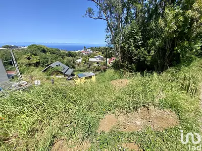 Terrain