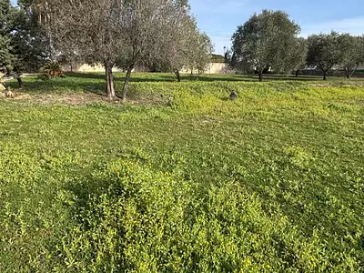 Terrain à bâtir, 631 m²