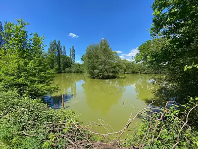 Terrain, 6 300 m²
