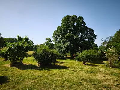 Maison, 185 m²