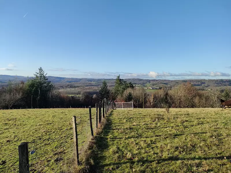 Terrain, 1 966 m²