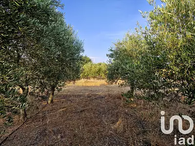 Terrain, 25 885 m²