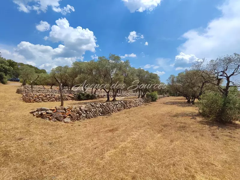 Terrain, 4 768 m²