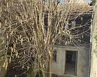Maison, 142 m²