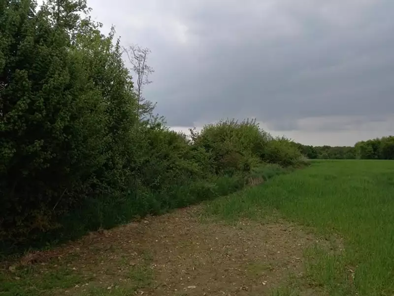 Terrain, 2 924 m²