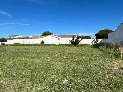 Terrain