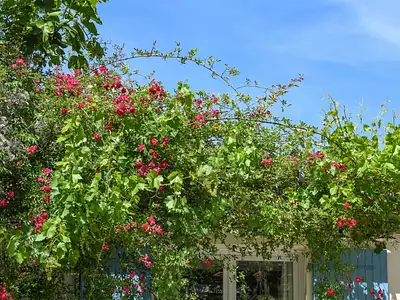 Maison, 159 m²