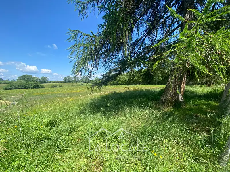 Terrain, 4 224 m²