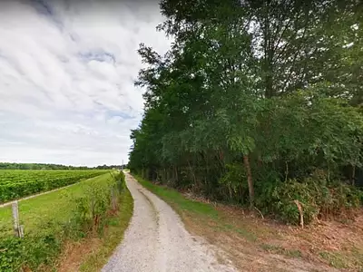 Terrain, 702 m²
