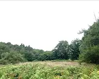 Terrain, 4 316 m²