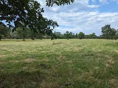 Terrain, 769 m²