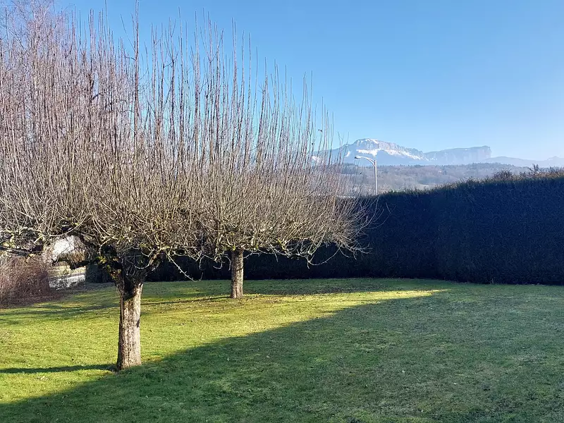 Terrain, 730 m²