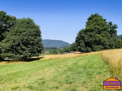Terrain, 3 325 m²