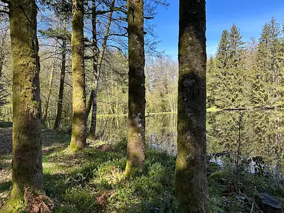 Terrain, 17 892 m²