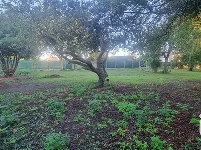 Terrain, 1 013 m²