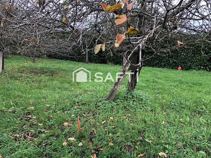 Terrain, 524 m²