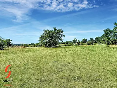 Maison, 750 m²