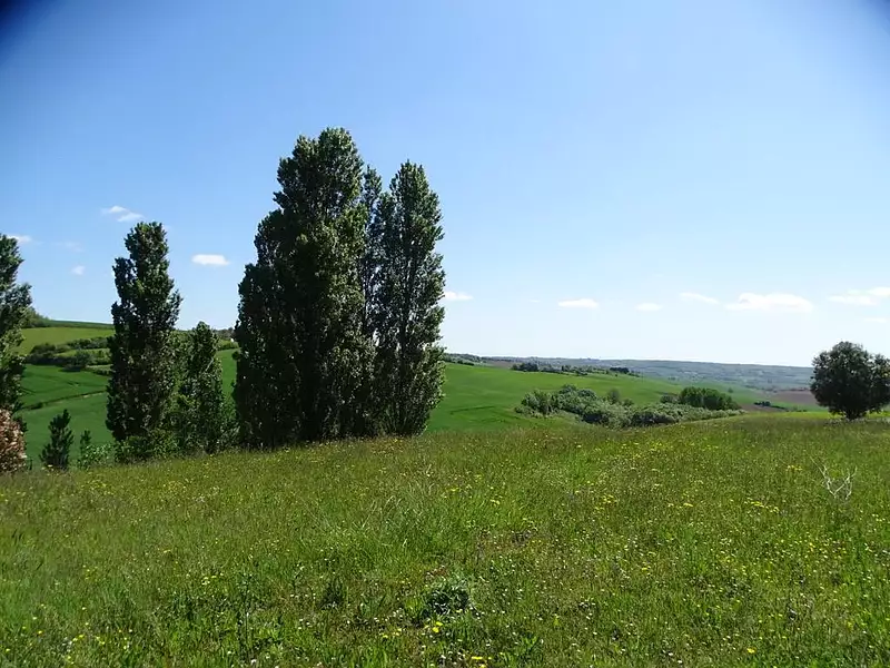 Terrain, 3 048 m²