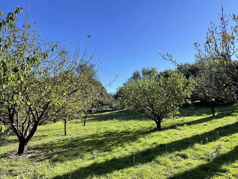 Terrain, 1 012 m²