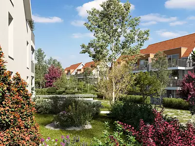 DOMAINE DU VEILLEUR PHASE 2