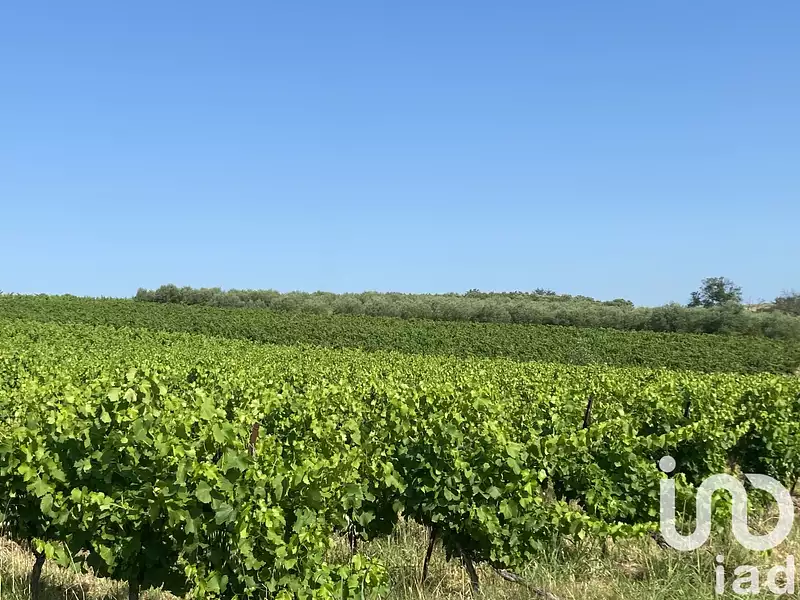 Terrain, 105 426 m²