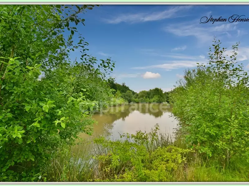 Terrain, 31 710 m²