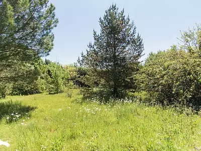 Maison, 146 m²