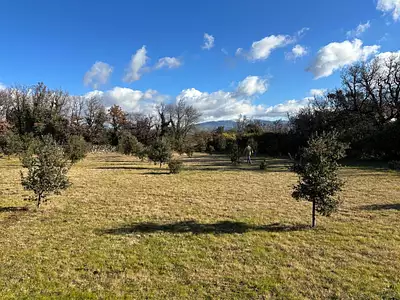 Terrain, 1 205 m²