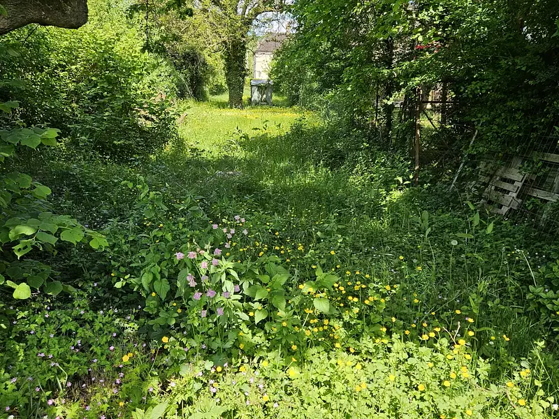 Terrain, 550 m²