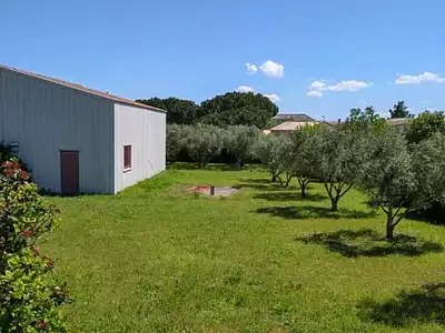 Terrain, 1 650 m²