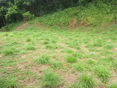 Terrain, 1 070 m²
