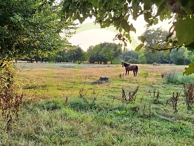 Terrain, 17 329 m²
