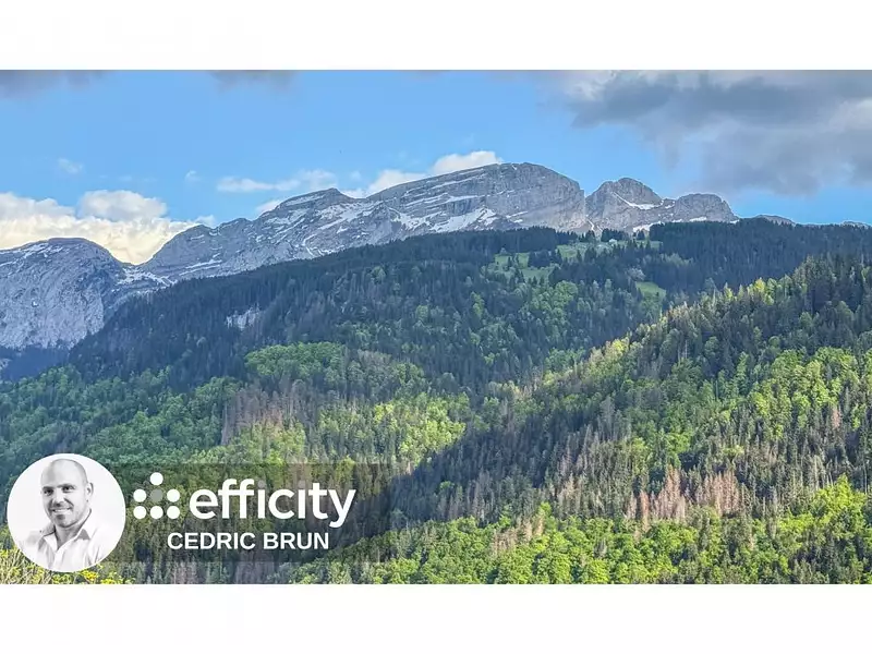Terrain, 990 m²