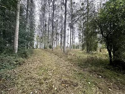 Terrain, 108 314 m²