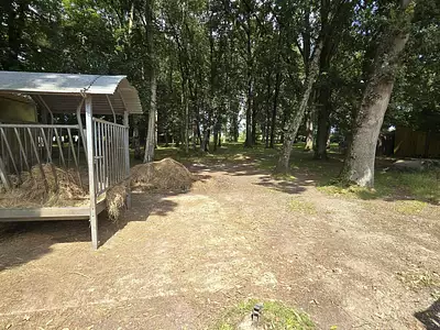 Maison, 243 m²