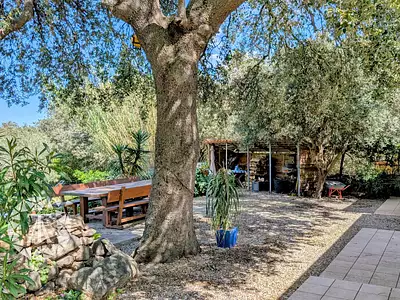 Maison, 239 m²