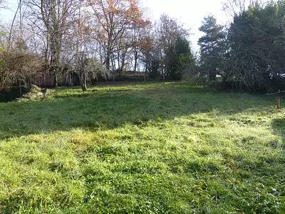 Terrain, 590 m²