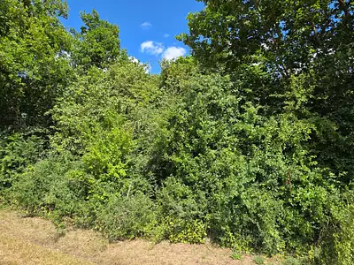 Terrain, 2 380 m²