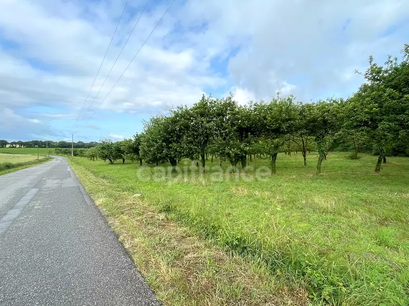 Terrain, 12 510 m²