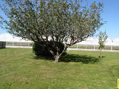 Maison, 200 m²