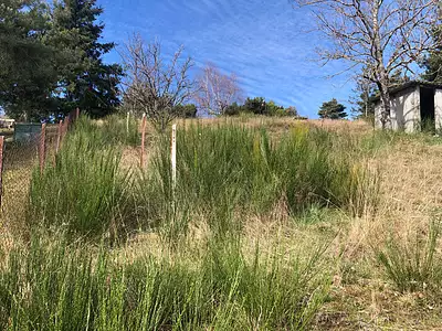 Terrain, 1 000 m²